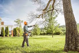 Best Aeration Services  in Mccom, MS